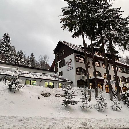Cerbul Chalet Accommodation & Wellness Râșnov Zewnętrze zdjęcie
