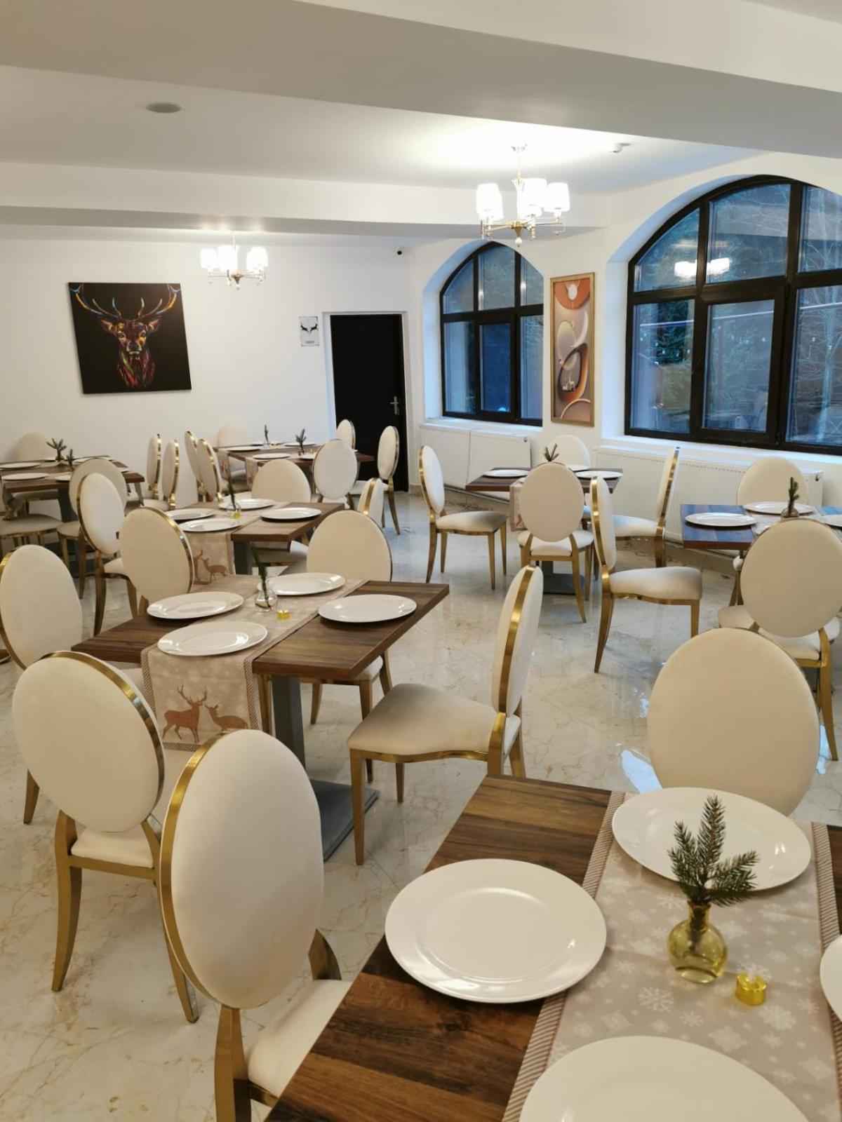 Cerbul Chalet Accommodation & Wellness Râșnov Zewnętrze zdjęcie