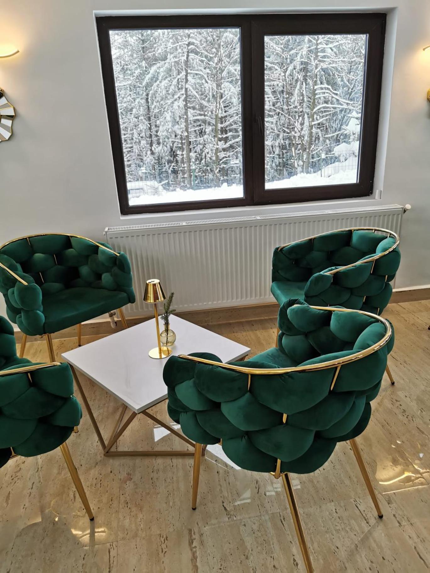 Cerbul Chalet Accommodation & Wellness Râșnov Zewnętrze zdjęcie