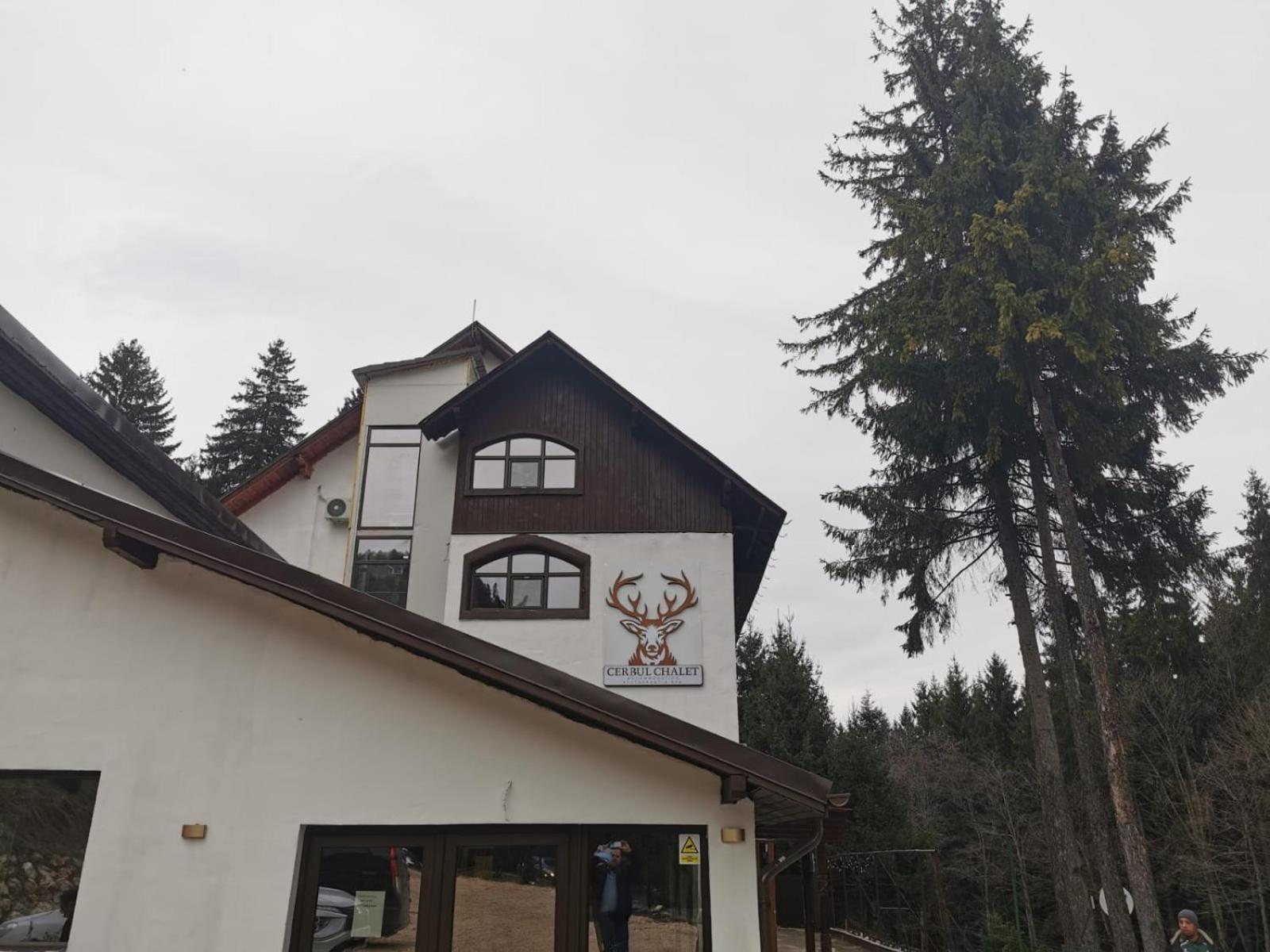 Cerbul Chalet Accommodation & Wellness Râșnov Zewnętrze zdjęcie