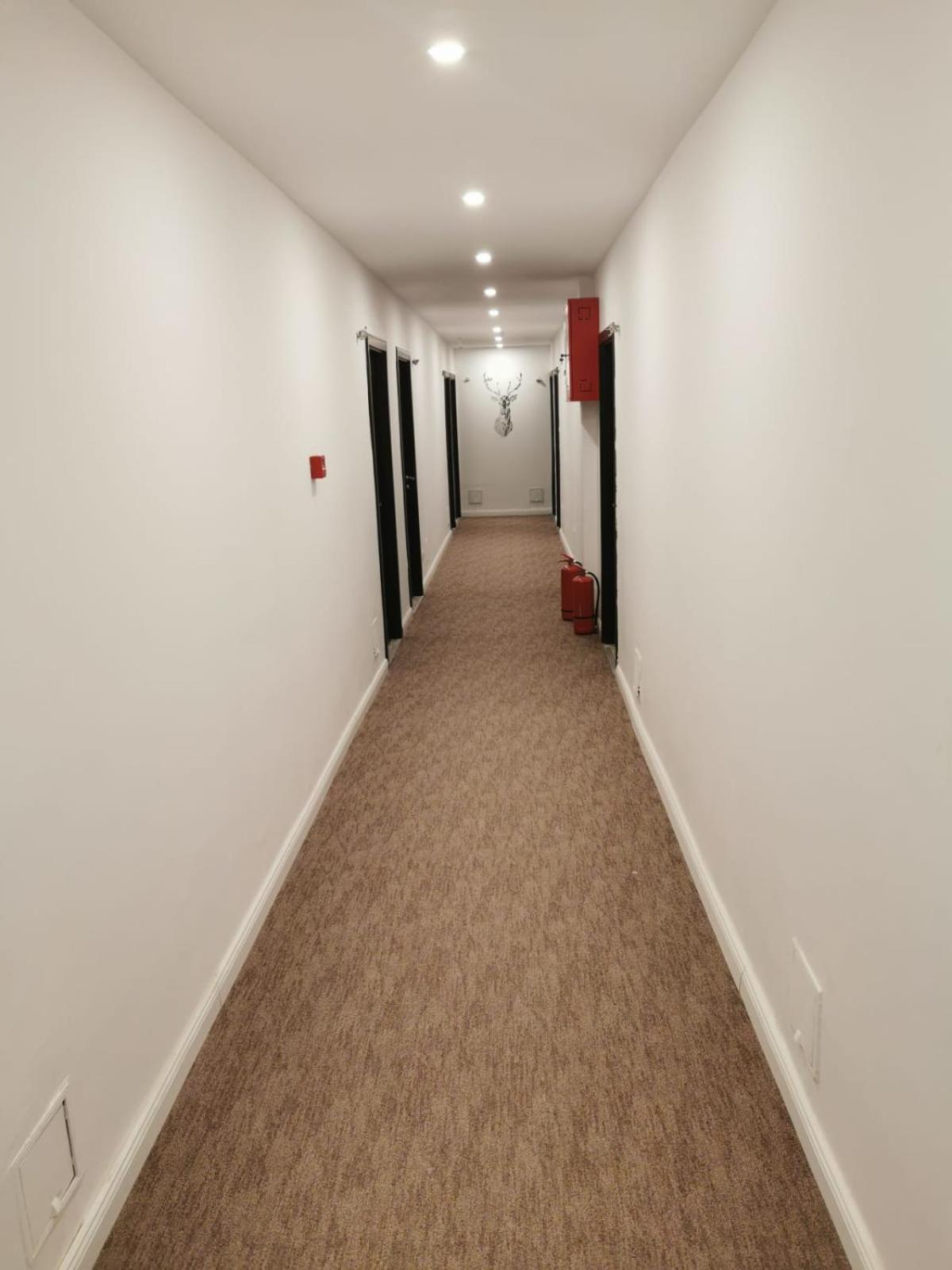 Cerbul Chalet Accommodation & Wellness Râșnov Zewnętrze zdjęcie