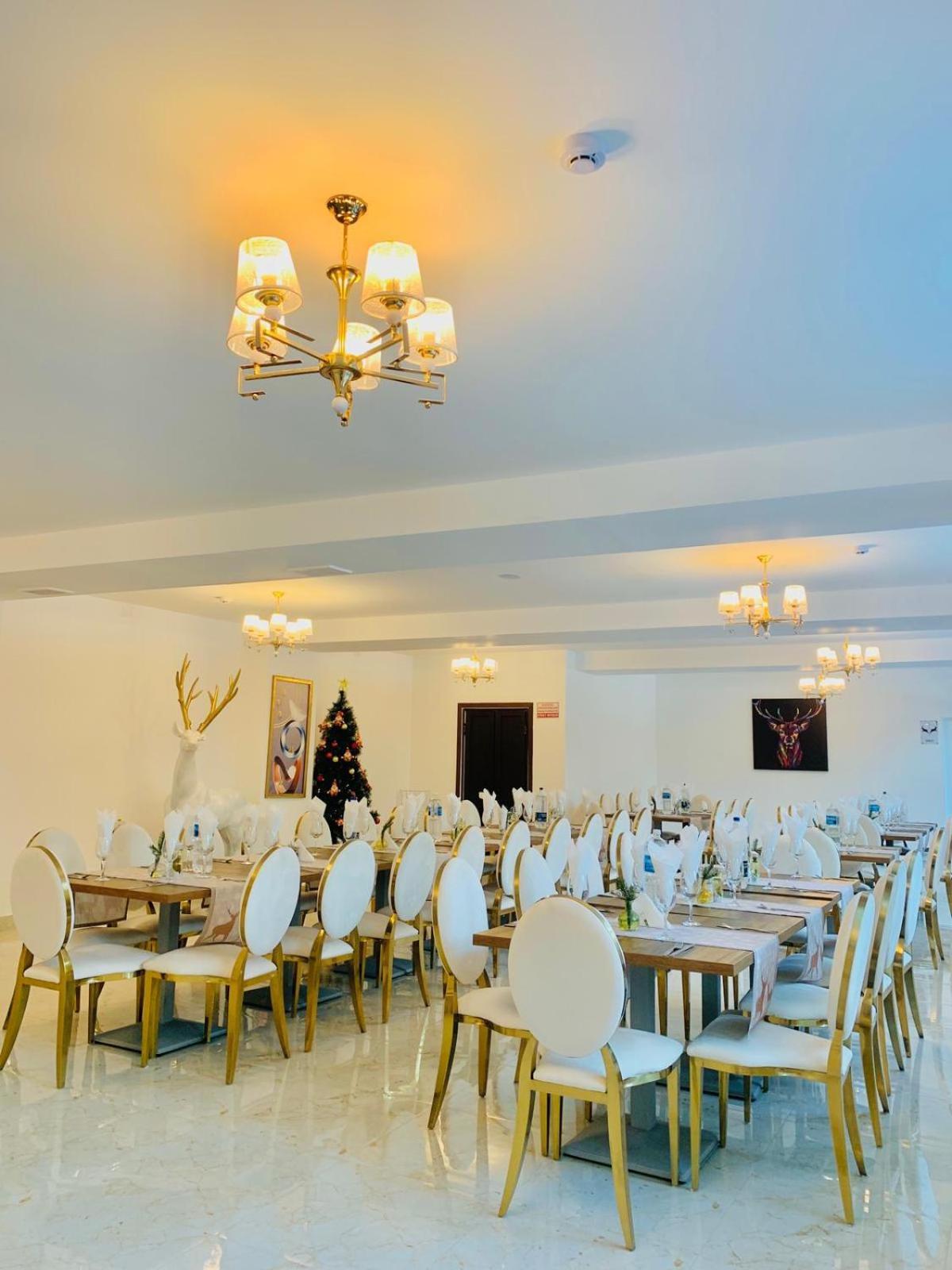 Cerbul Chalet Accommodation & Wellness Râșnov Zewnętrze zdjęcie