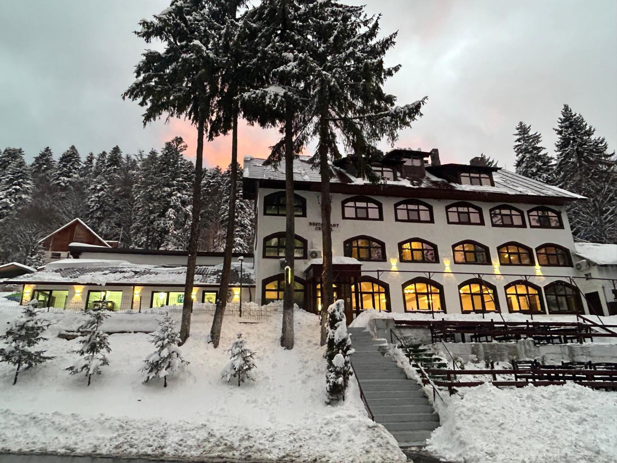 Cerbul Chalet Accommodation & Wellness Râșnov Zewnętrze zdjęcie