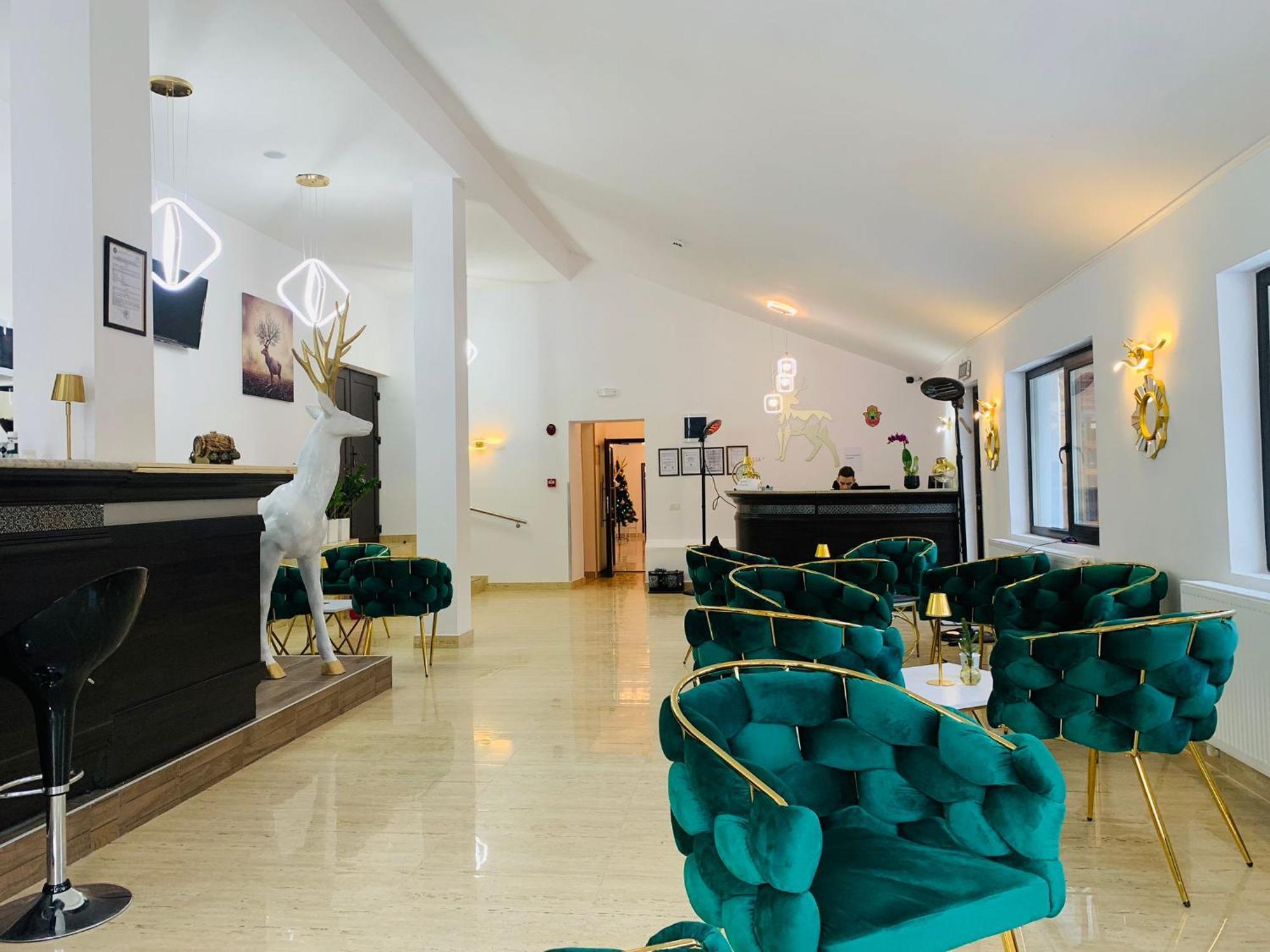 Cerbul Chalet Accommodation & Wellness Râșnov Zewnętrze zdjęcie